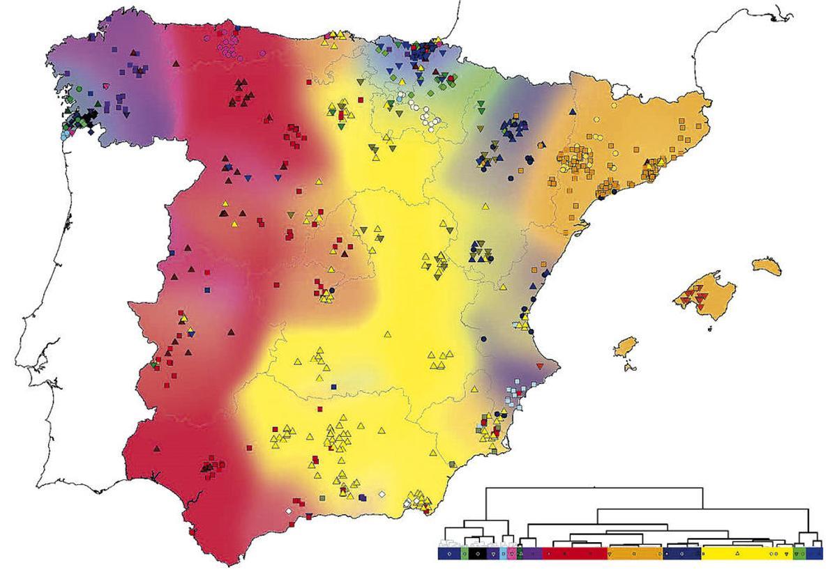 El primer mapa genético de España revela la huella musulmana y de la Reconquista