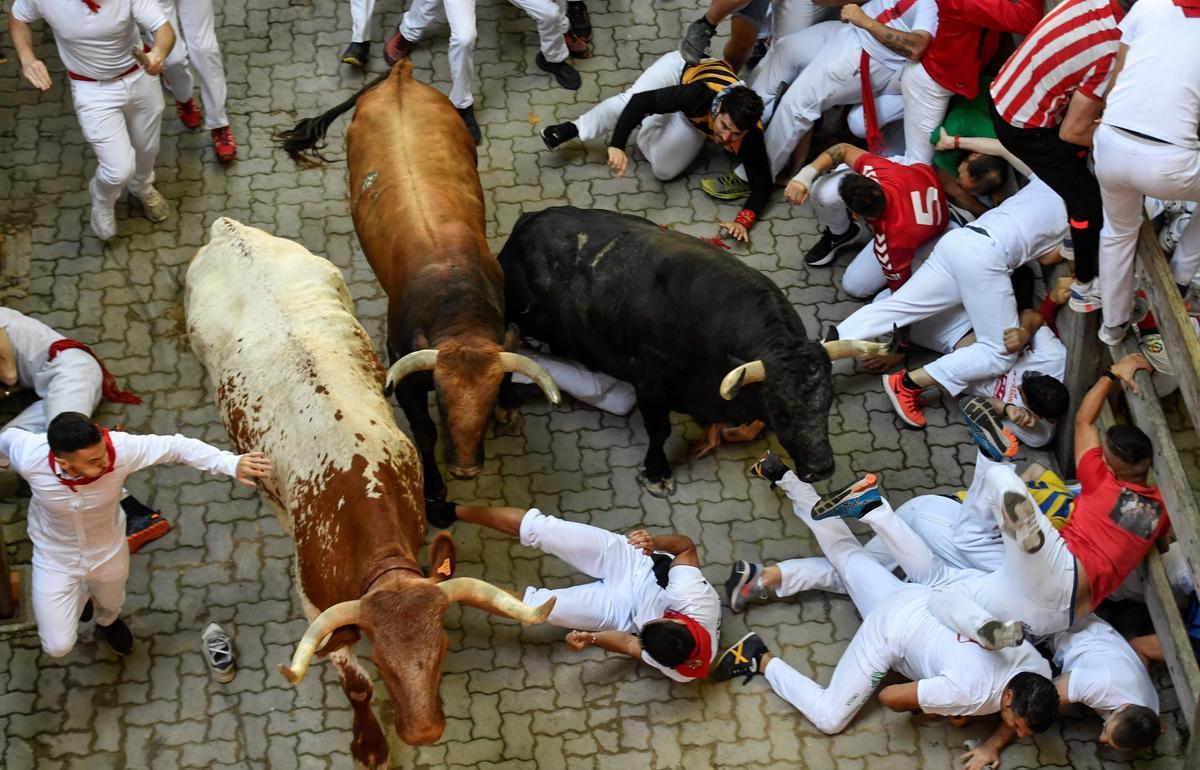 La Ressurrecció dels Sanfermins.