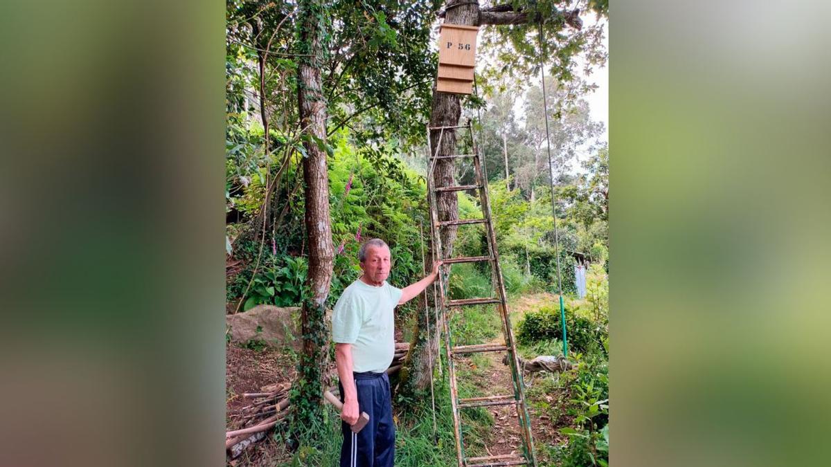 Una de las nuevas casetas para murciélagos instaladas en Moaña para luchar contra el mosquito tigre.