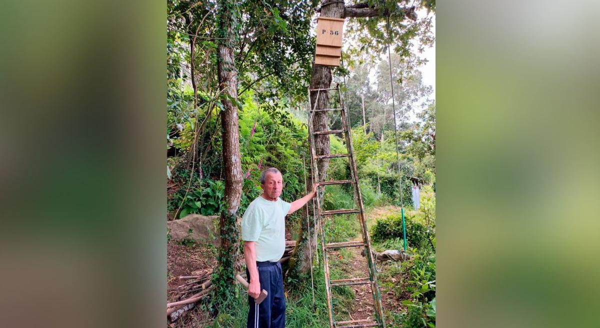Una de las nuevas casetas para murciélagos instaladas en Moaña para luchar contra el mosquito tigre. 20 mayo 2025.