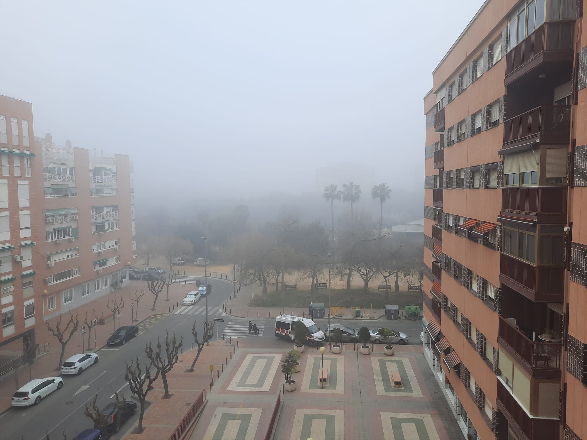 Imágenes de la niebla esta mañana en Murcia