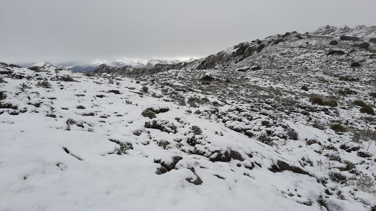 Las mejores imágenes de la nieve en la Serra de Tramuntana