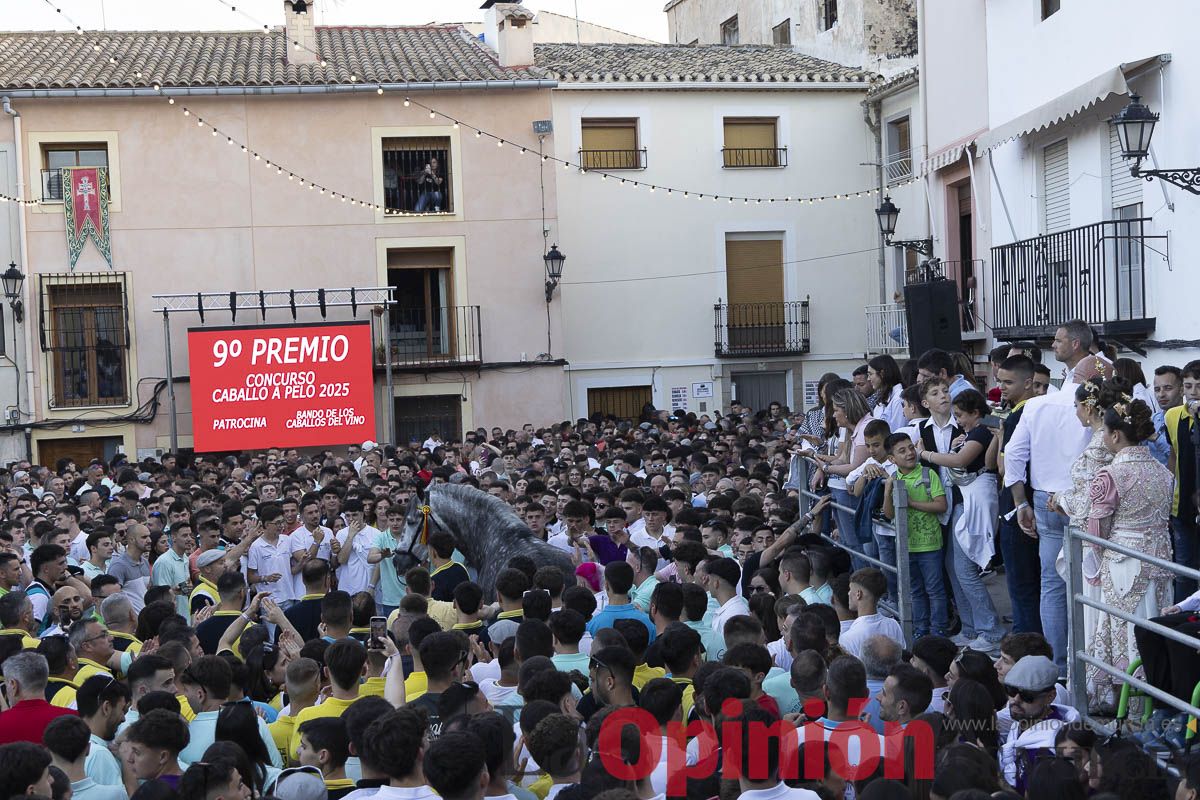 Fiestas de Caravaca | Entrega de premios del concurso morfológico