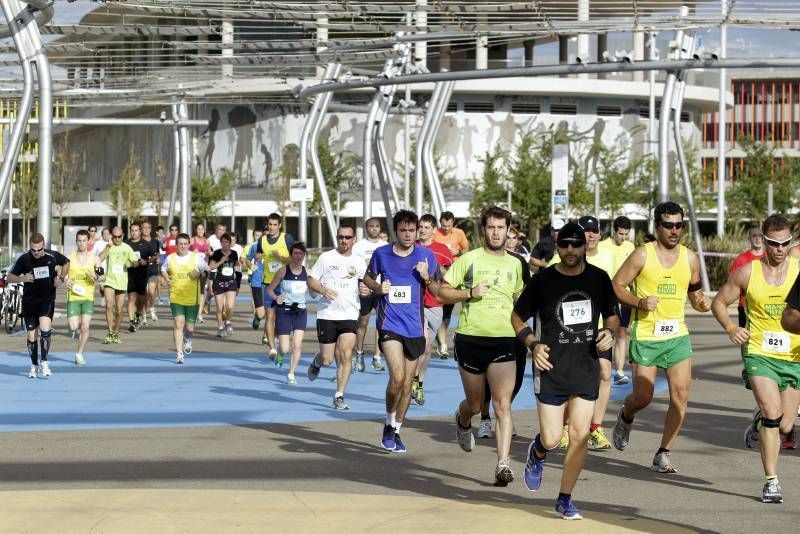 Fotogalería: VII Maratón Internacional de Zaragoza