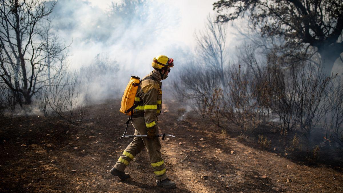 Un bombero forestal durante las tareas de extinción del incendio en Zamora originado en Losacio.