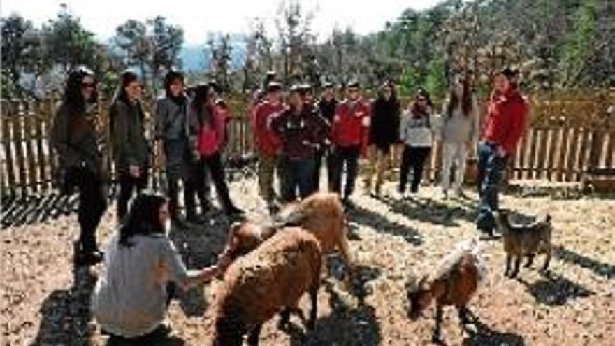 Alumnes del cicle d&#039;Educació Infantil en una sortida a la granja l&#039;Auró