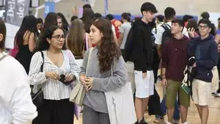 Ingeniería Eléctrica, Turismo y Comercio, grados con más alumnos extranjeros