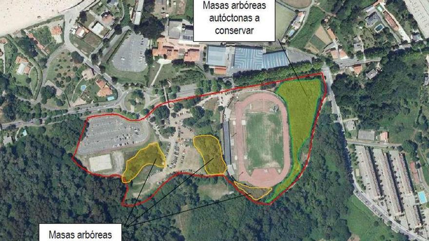 Delimitación de las tres masas arbóreas en el entorno del plan especial de Bastiagueiro.