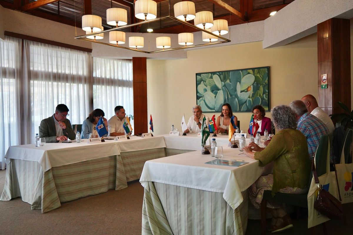 Un momento del encuentro de nueve alcaldes del sur de Tenerife reunidos este jueves en Arona.