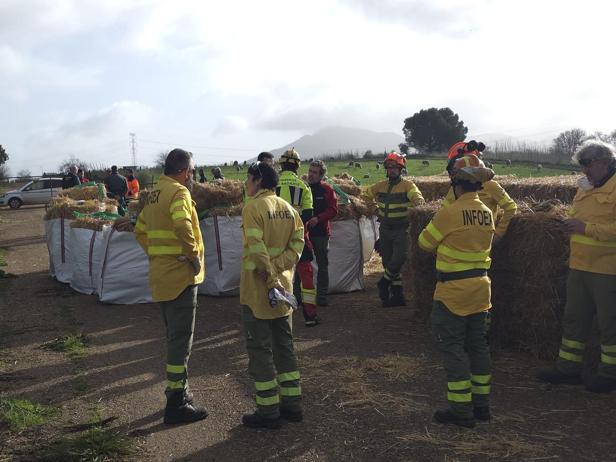 Fotogalería | Un helicóptero al rescate de las ovejas atrapadas en Arroyo de San Serván