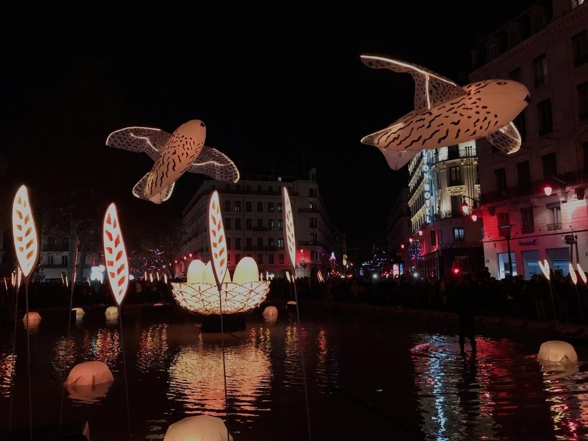 Fiesta de las Luces, Lyon