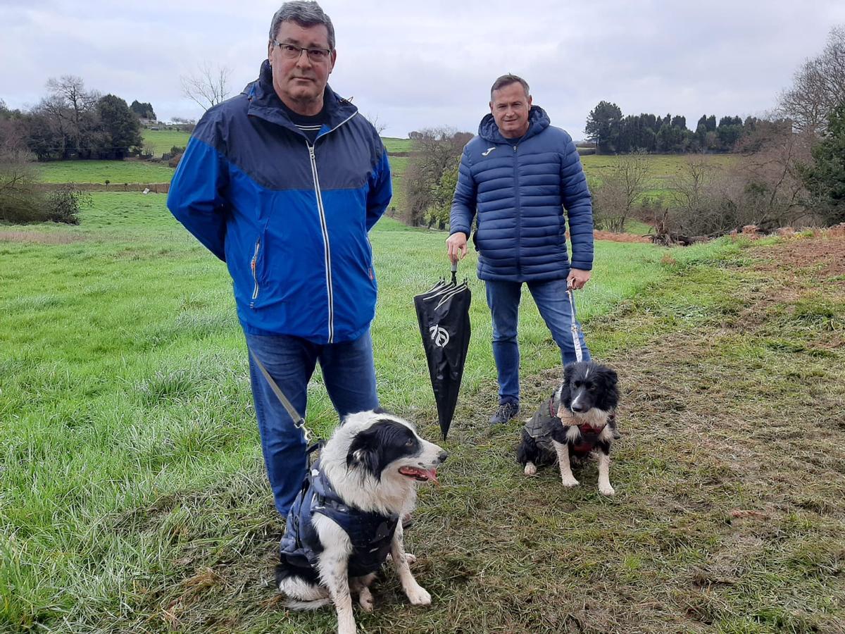 Robledo, en Llanera, bendice a sus mascotas por San Antón