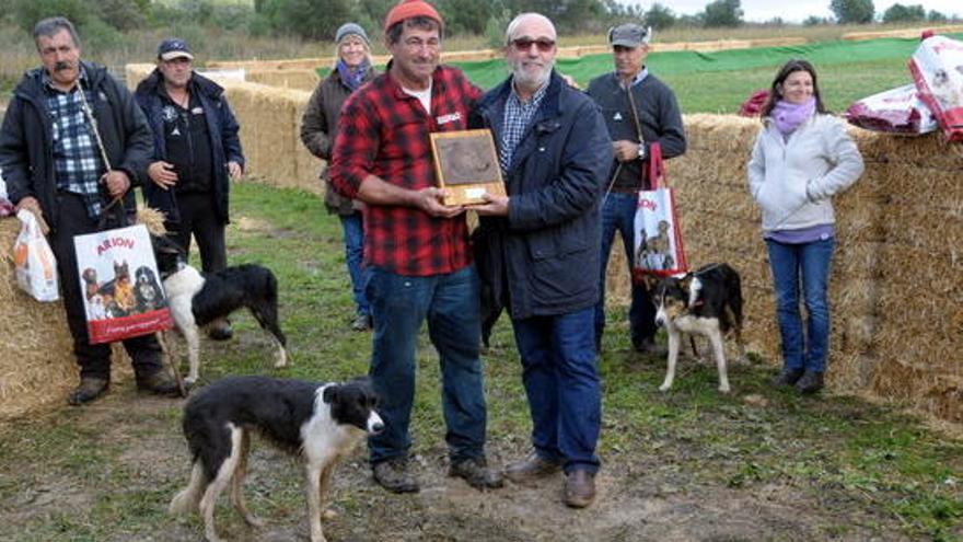 Els participants en el concurs de gossos d&#039;atura de Torroella de Montgrí