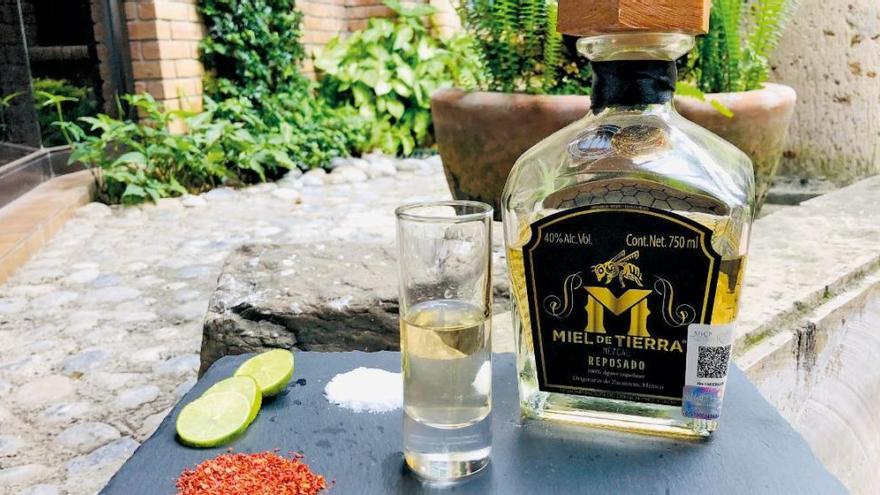 Una pincelada sobre el tequila