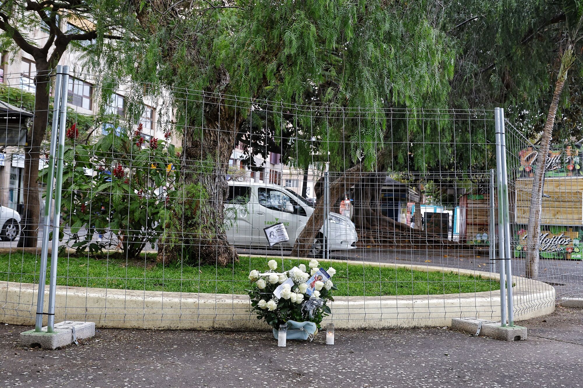 Flores en Santa Cruz de Tenerife donde murió el joven grancanario en la madrugada del Martes de Carnaval