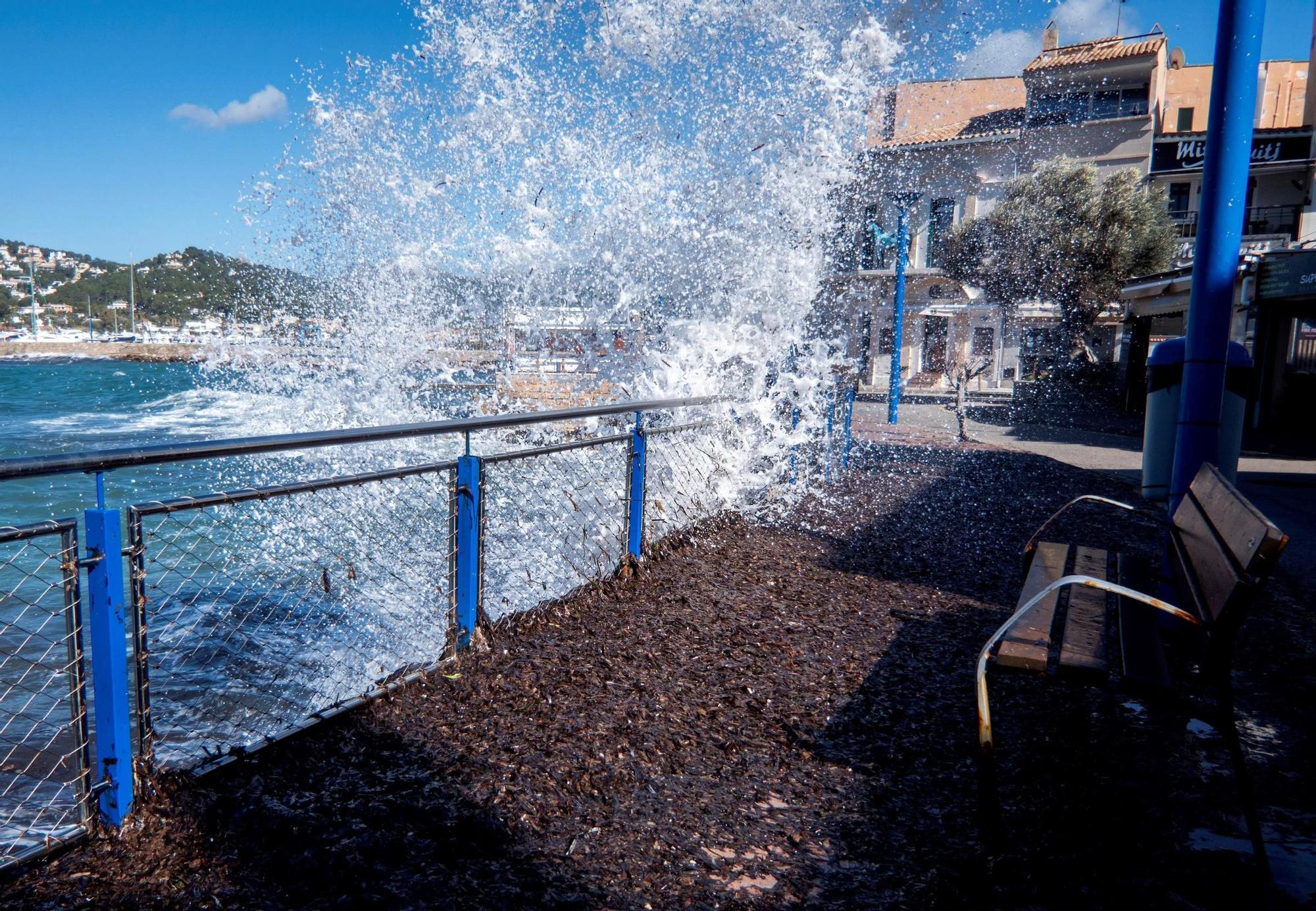 El tiempo en Mallorca: Las imágenes que deja el temporal en la isla