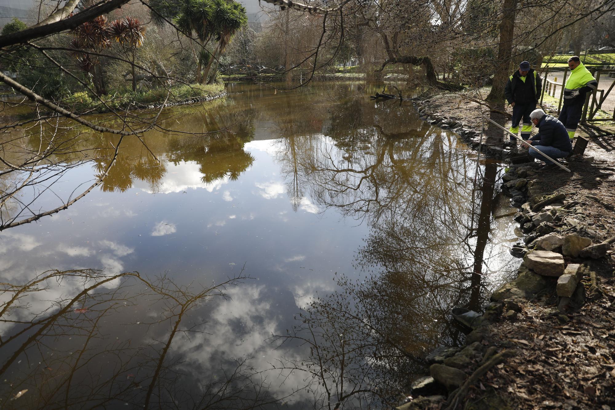 En imágenes: Comienza el dragado de los estanques del parque de Isabel la Católica