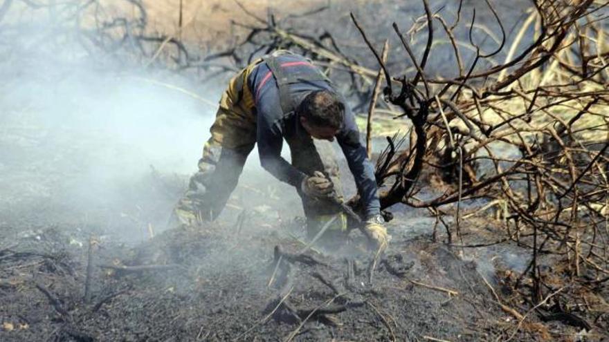 Labores de extinción de los focos de incendio detectados durante la jornada de ayer al norte de la laguna de La Mata. A la zona se trasladaron brigadas forestales de Tibi y la Font Roja