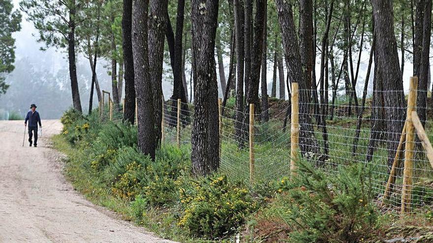 Uno de los cierres terminados en el monte de Zamáns.