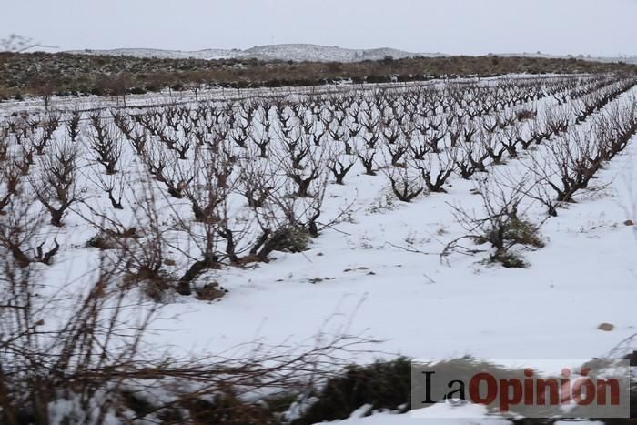 Nieve en Coy y Avilés (Lorca)