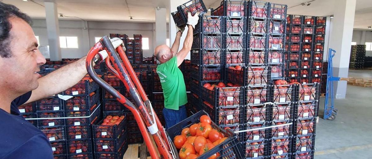 Els preus en origen de les fruites i hortalisses s’estabilitzen després de l’elevada inflació de l’abril