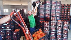 Els preus en origen de les fruites i hortalisses s’estabilitzen després de l’elevada inflació de l’abril