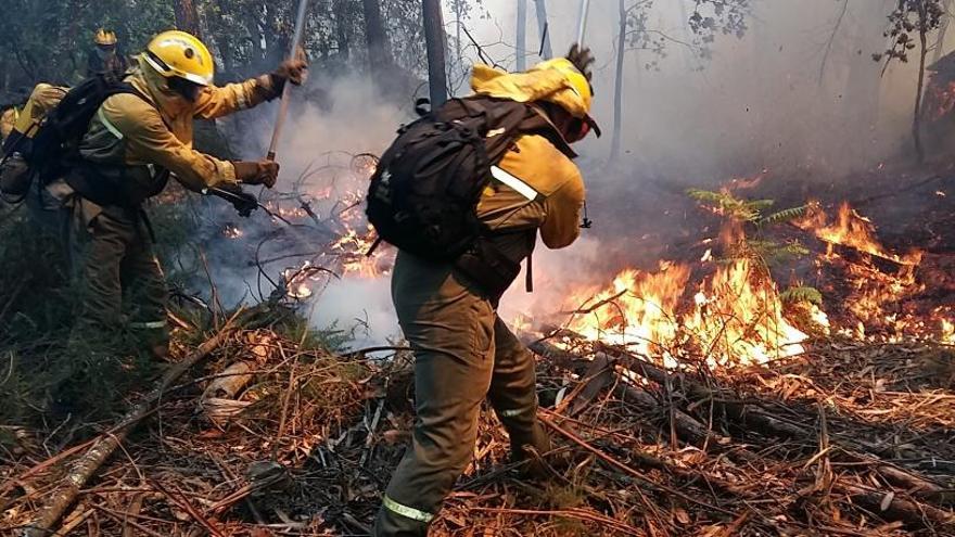 El Gobierno invierte 85 millones en la lucha contra incendios