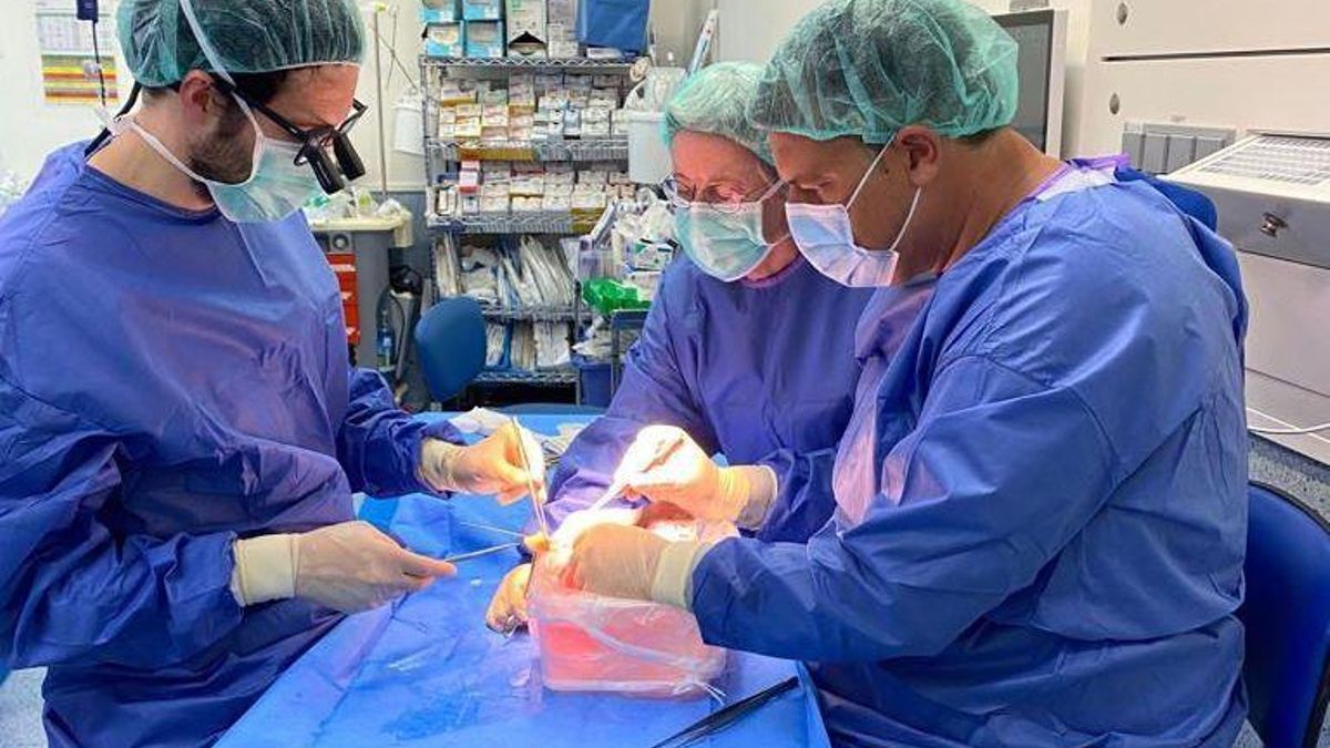 Parte del equipo, en el quirófano, analizando el líquido en cuestión.
