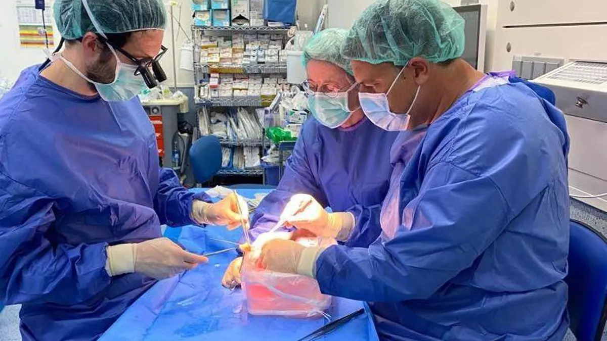 Investigadores de Murcia usan la IA para predecir si un trasplante de hígado llegará a buen puerto