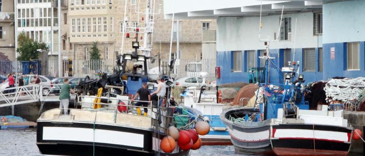 Barcos de cerco antes de salir a por sardina. | MARTA G. BREA