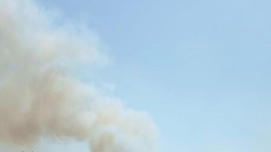 El Infoex moviliza medios aéreos y terrestres para sofocar un incendio forestal en Jerez de los Caballeros