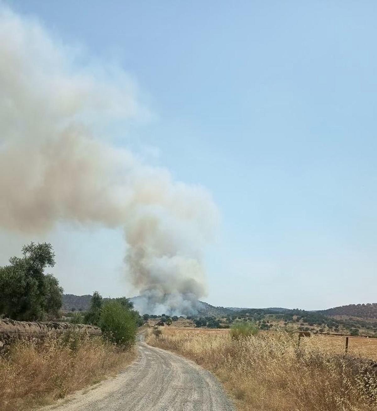 Imagen del incendio en Jerez de los Caballeros.