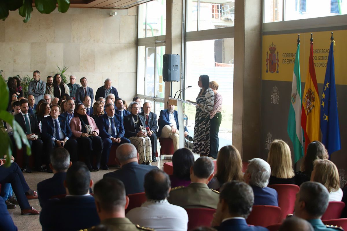 El Gran Teatro, Fepamic, Veterinaria, Radio Córdoba y la Fiesta del Queso recogen los premios Constitución