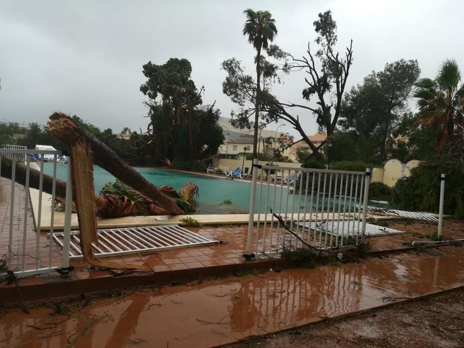 El tornado causa múltiples daños en el club de Tenis