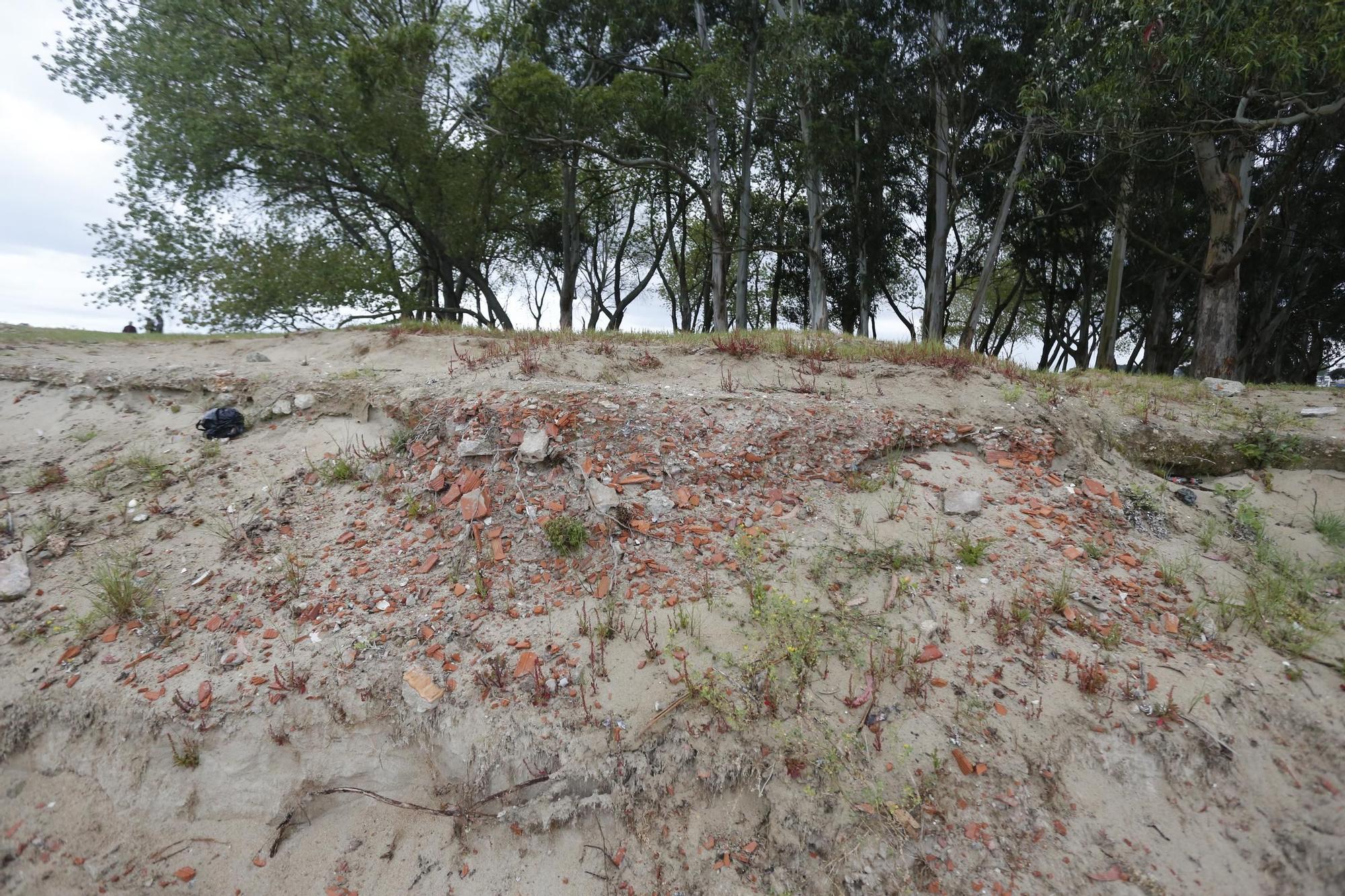 Seoane exige a Costas que retire escombros y dos árboles en el extremo de Santa Cristina