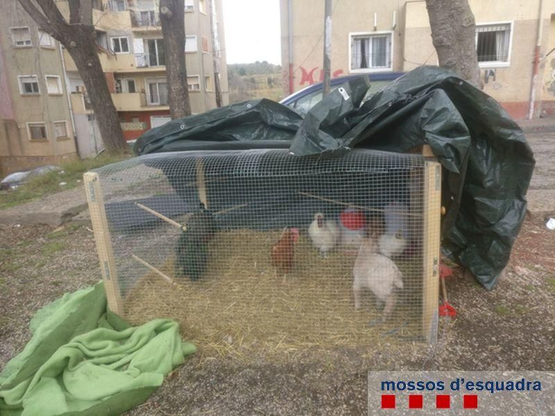 Operació contra el frau elèctrica la Font de la Pòlvora.