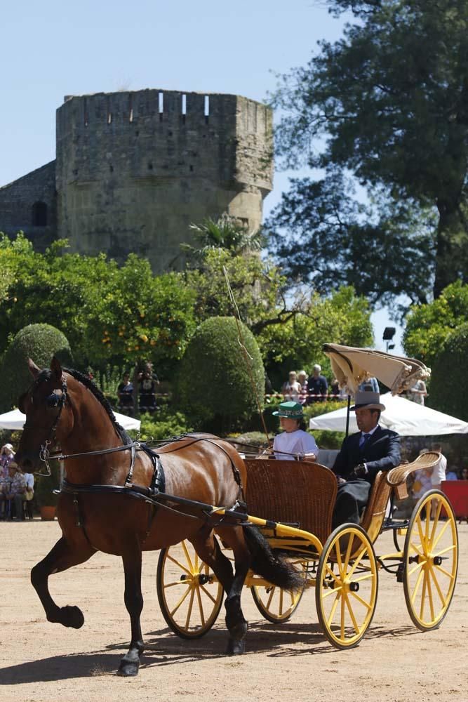 Exhibición de carruajes de tradición en El Arenal