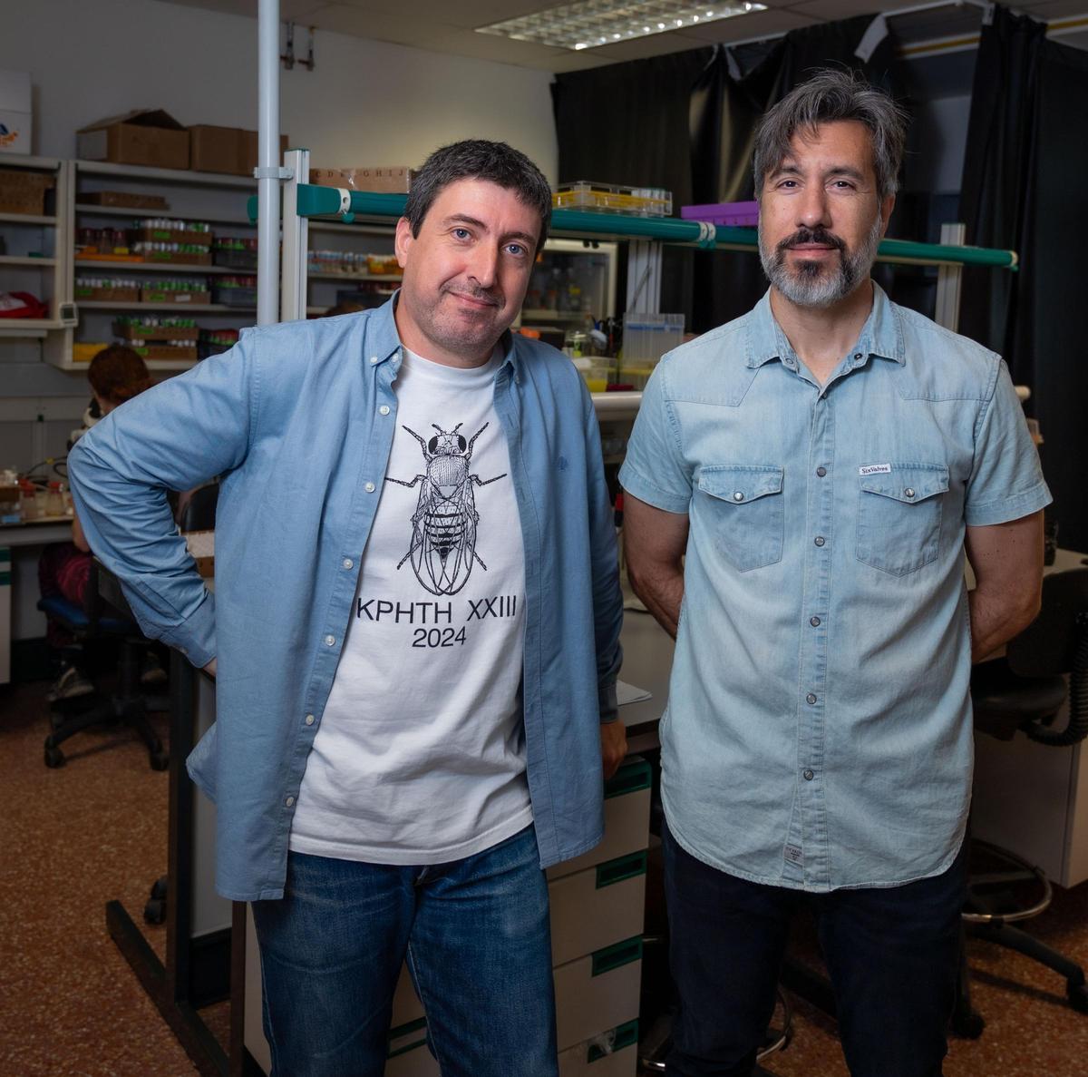 Investigadores de Neurociencias CSIC-UMH que han profundizado en el halterio de las moscas
