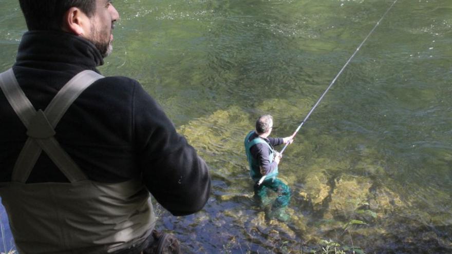 Vedado a la pesca de salmón el coto del Lérez en Monte Porreiro por quinta campaña consecutiva