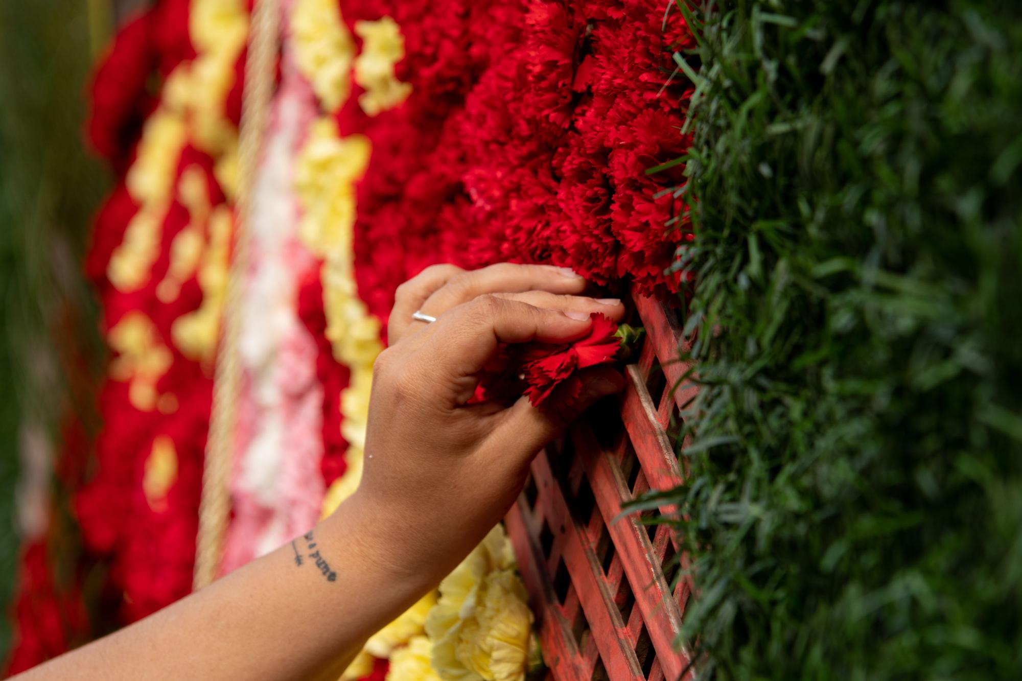 Así ha vestido Almassora el tapiz de flores en honor a Santa Quitèria