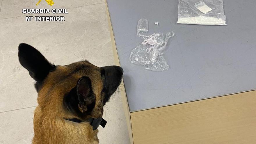 Un perro de la Guardia Civil detecta la cocaína, el éxtasis y la marihuana que llevaba un pasajero en un bote de gel corporal