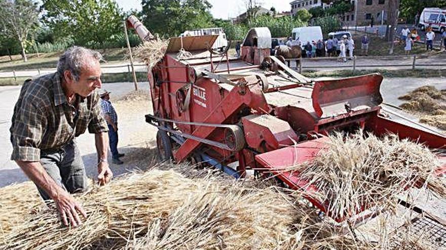 Llagostera celebra la Fira del Batre