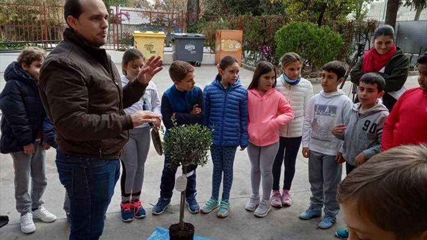 1.500 escolares participan en la campaña ‘Conocemos nuestros árboles’