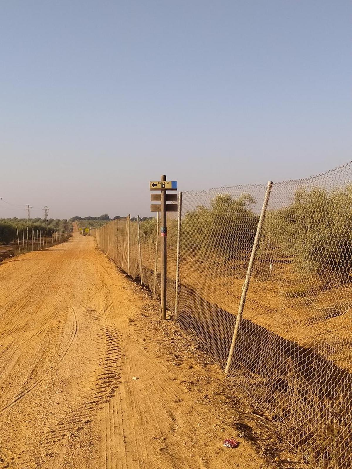 Ruta Aul, el sendero circular de Bollullos de la Mitación perfecto para realizar el familia