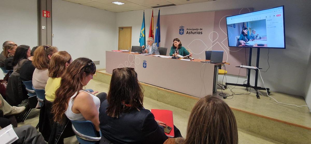 La consejera de Salud, Concepción Saavedra, y la directora general de Cuidados y Coordinación Sociosanitaria, Rocio Allande.