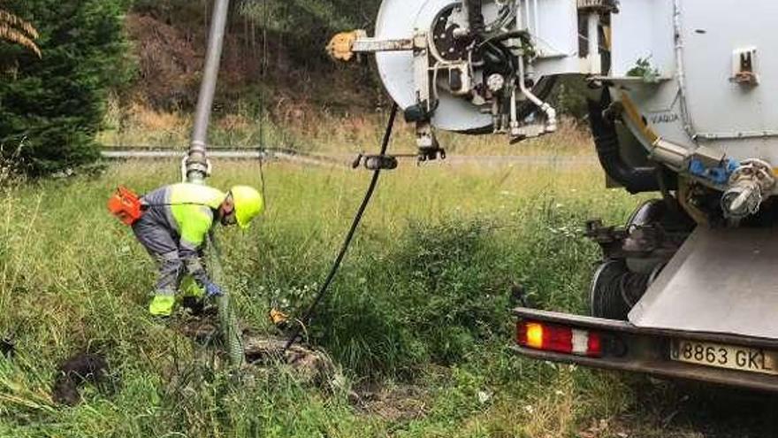 Eliminan las raíces que causaron el atasco frente al tanatorio