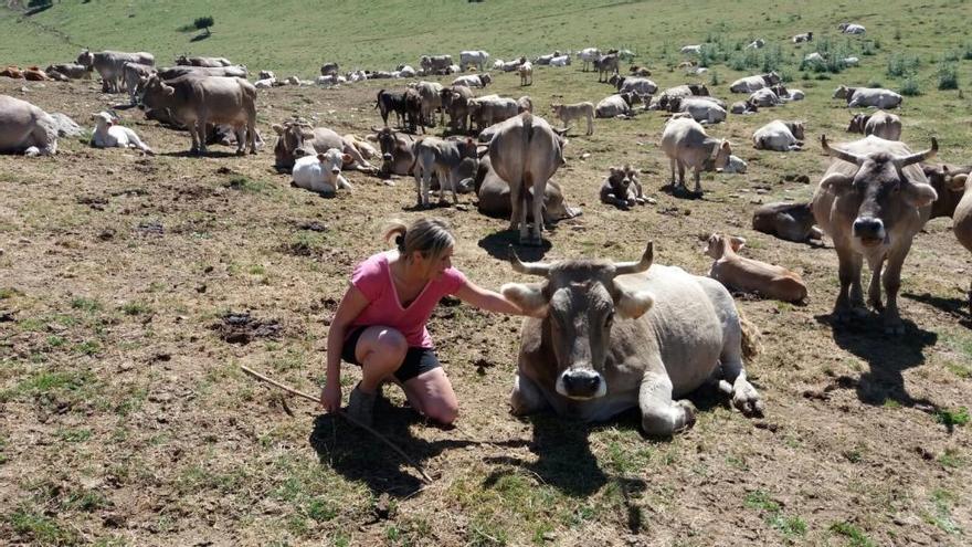 Raquel Serrat Tubau amb els seus animals a la muntanya.