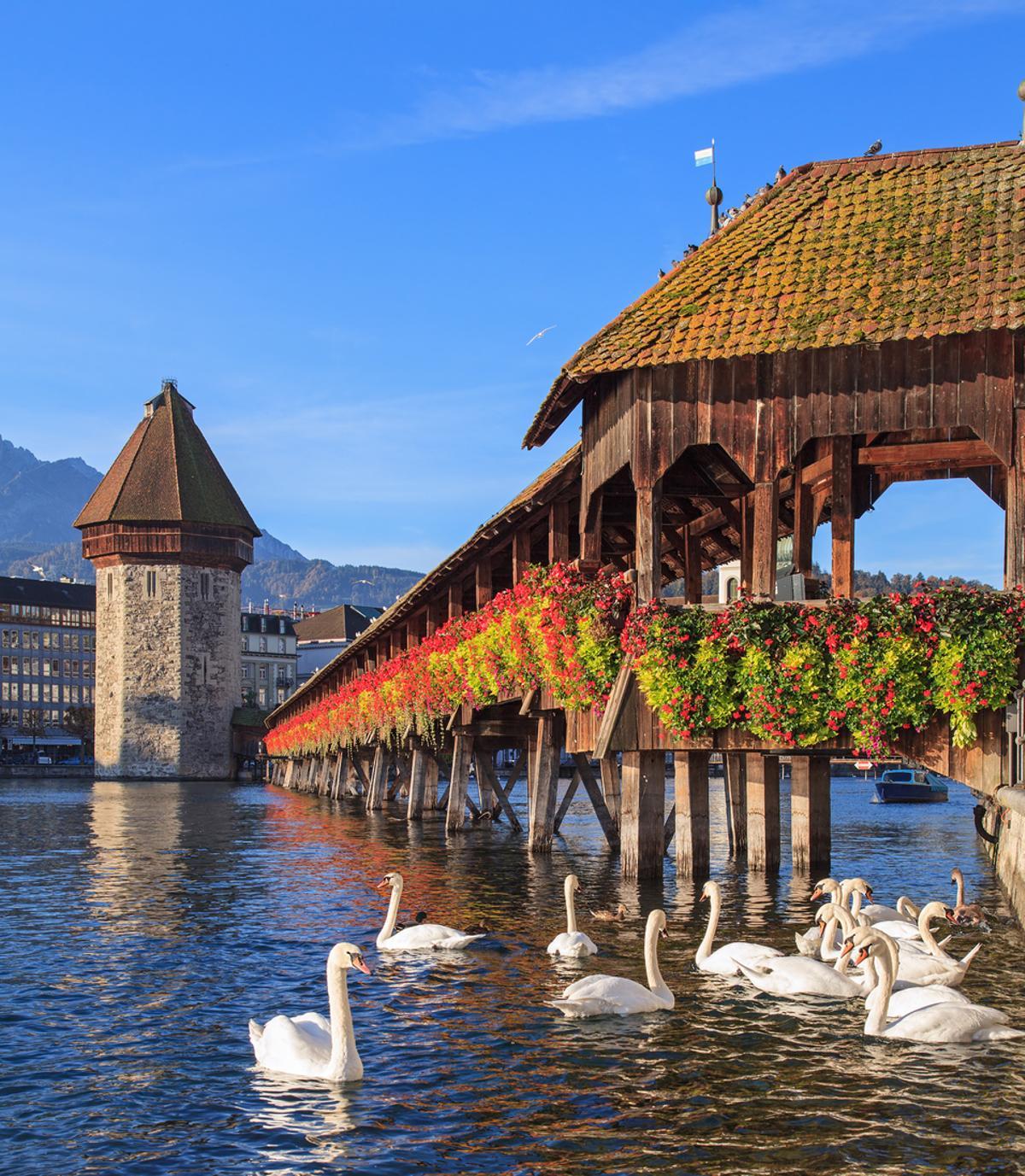 Lucerna.