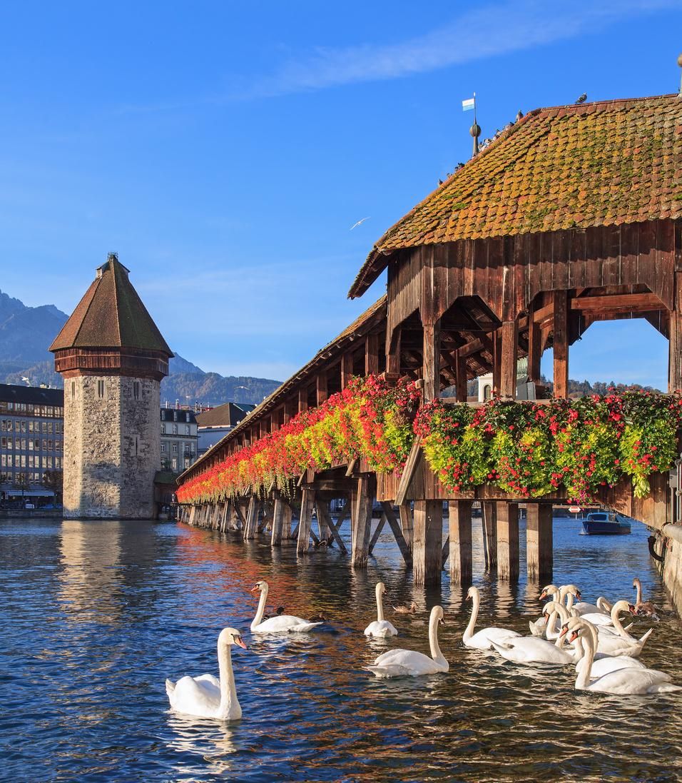 Lucerna.