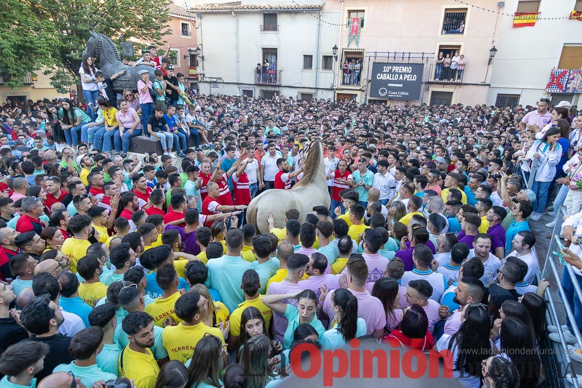 Entrega de premios del concurso morfológico de los Caballos del Vino de Caravaca